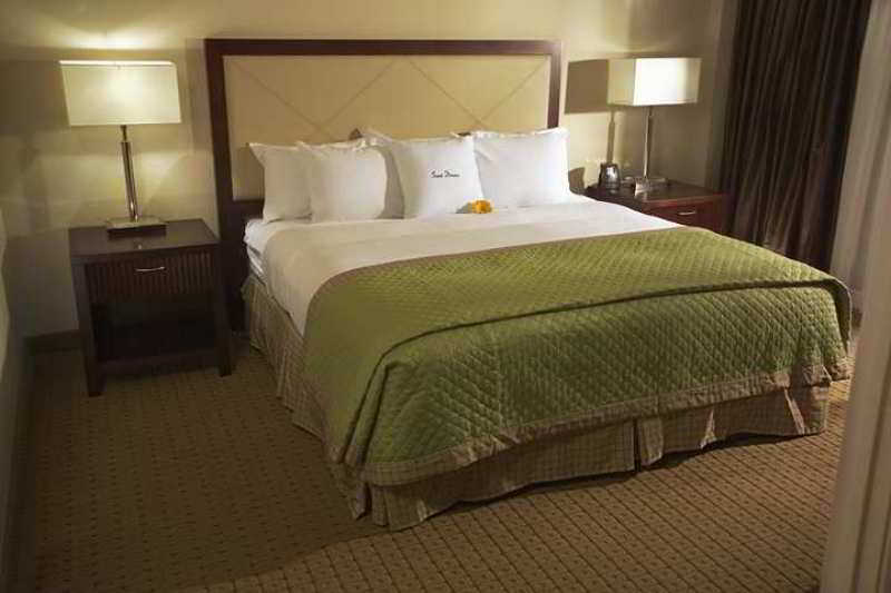 מלון Doubletree By Hilton Tampa Rocky Point Waterfront חדר תמונה